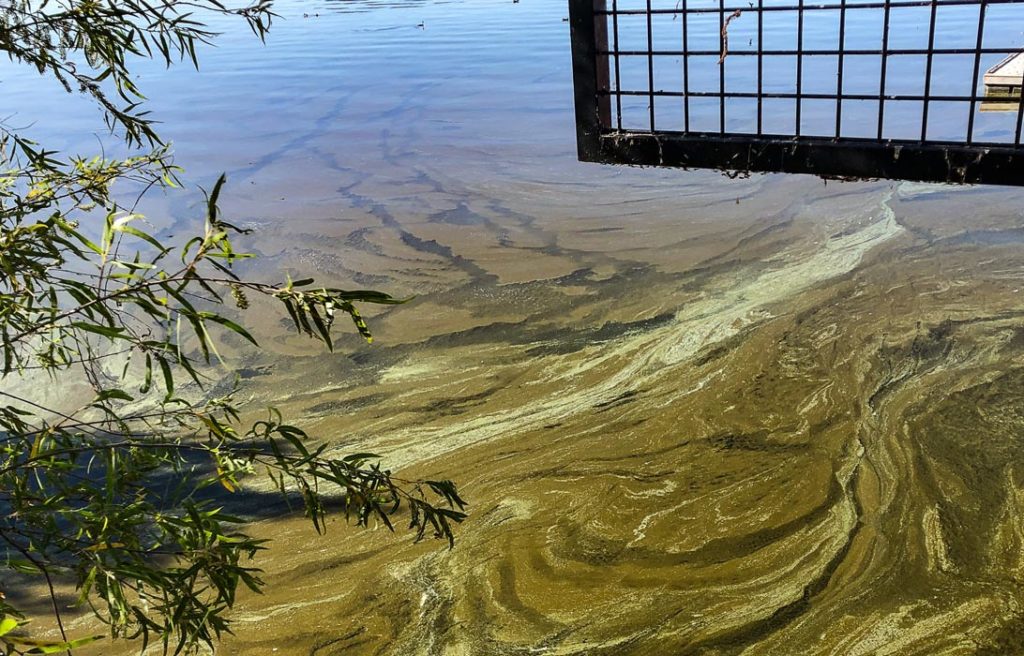 California Tribes Call Out Degradation of Clear Lake Center for