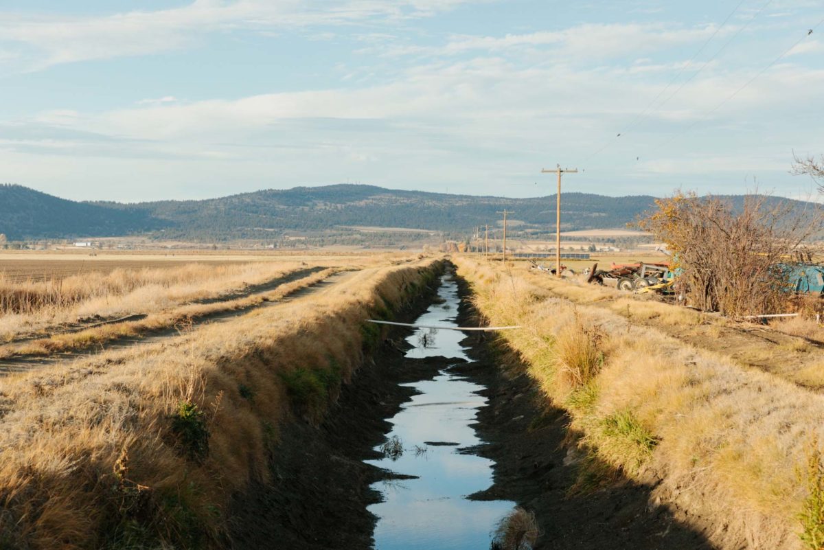 An irrigation ditch in the Klamath Project.