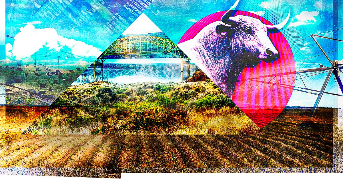 Photo illustration collage of farm land, river bridge, and cattle