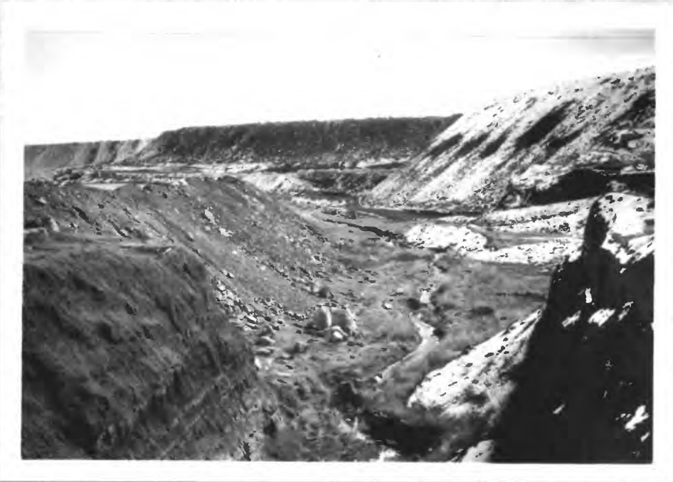 An old photograph of the Rio Paguate running downstream through the Jackpile-Paguate mine area